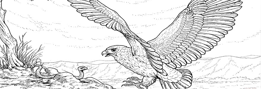 Jeux Coloriage Magique En Ligne